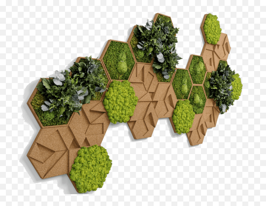 Alpine Moss Hexagons Set Of 9 Moss Panel - Hexagon Moss Wall Decor Emoji,Green And Plants Indoor Effect On Human Emotion