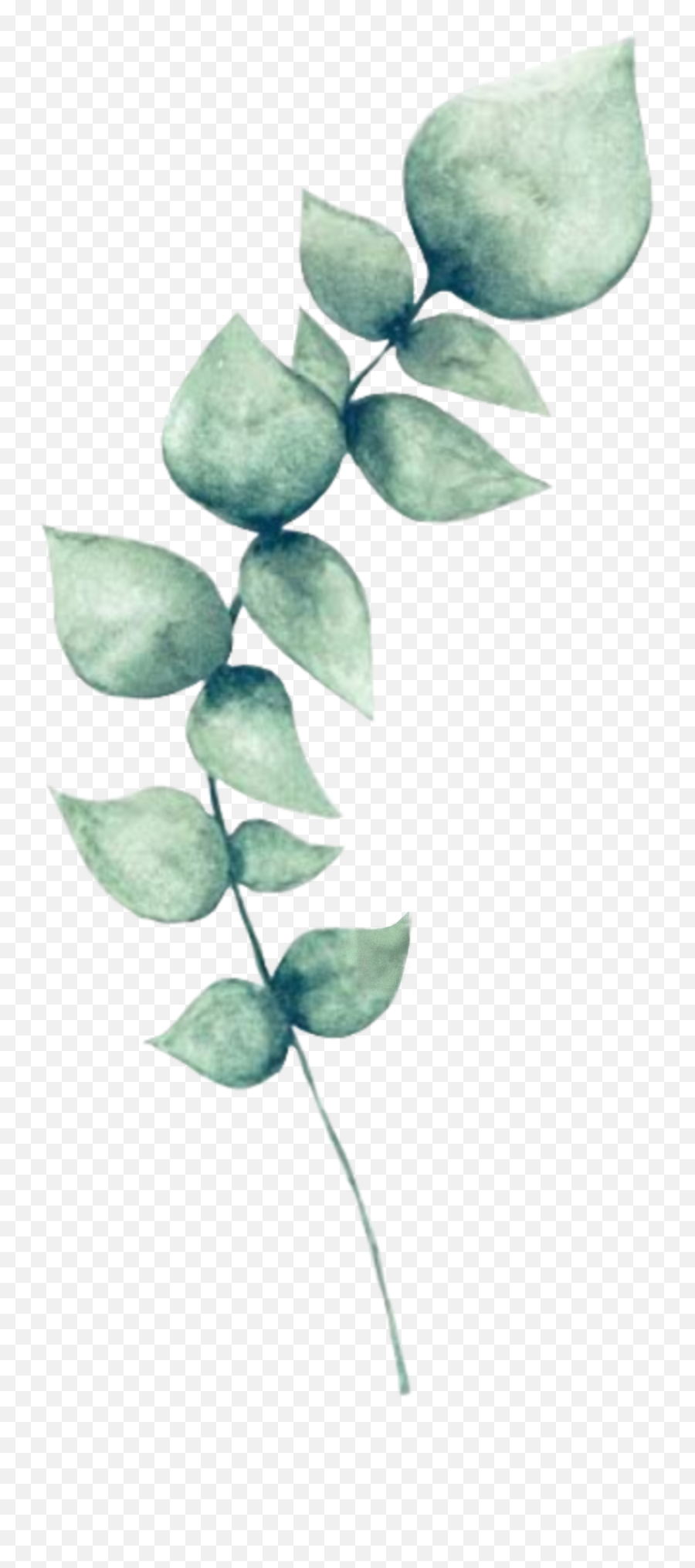 The Most Edited V - Flower Picsart Emoji,Chuseok Emojis