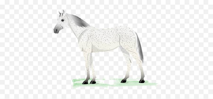 600 Free Colorful Horse U0026 Horse Images Emoji,Carousel Horse Emoji