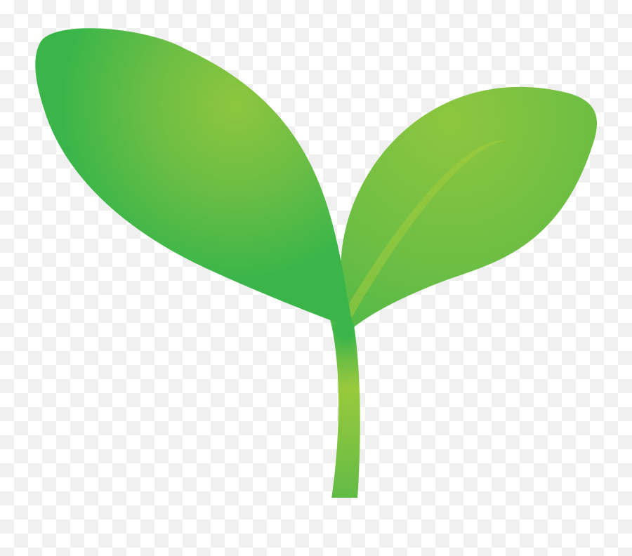 Plantes Fruitières - Carré Potager Emoji,Seedling Emoji Svg