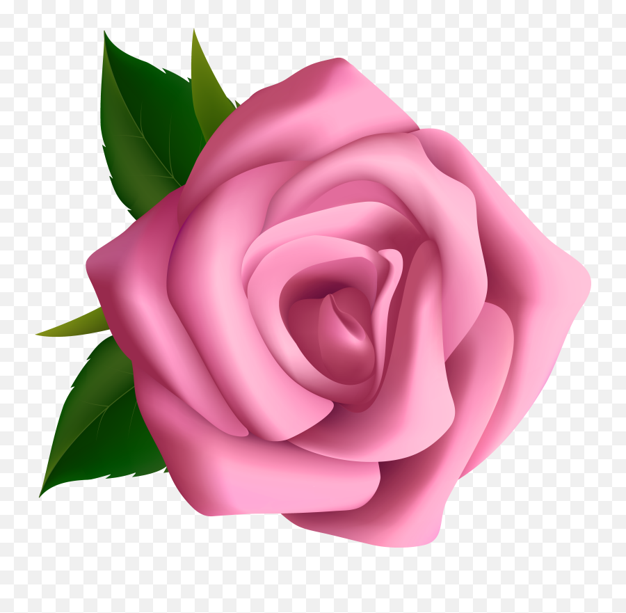 Large Pink Rose Clipart Blumen Pink - Transparent Background Pink Rose Png Emoji,Pink Rose Emoji