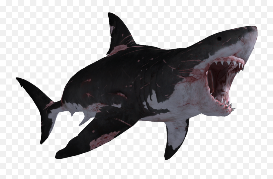 Download Big Shark Megalodon Hd Image - Shark Transparent Emoji,Shark Emoticon Depth