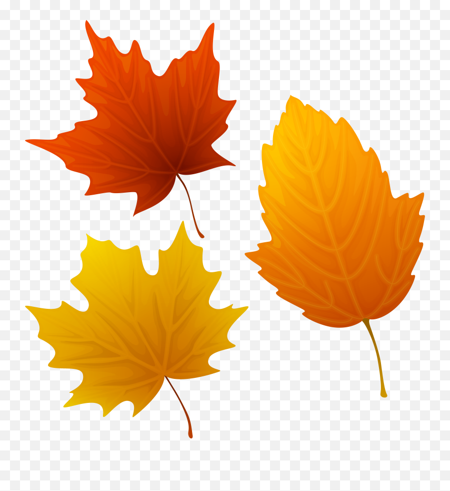 Fall Leaf Clip Art Png Transparent Png - Thanksgiving Leaves Png Emoji,Fall Leaf Emoji