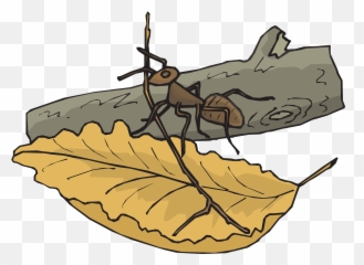 Httpswwwpicpngcomninja - Beaveranimalhumorjokepng Emoji,Steam Weed Leaf Emoticon