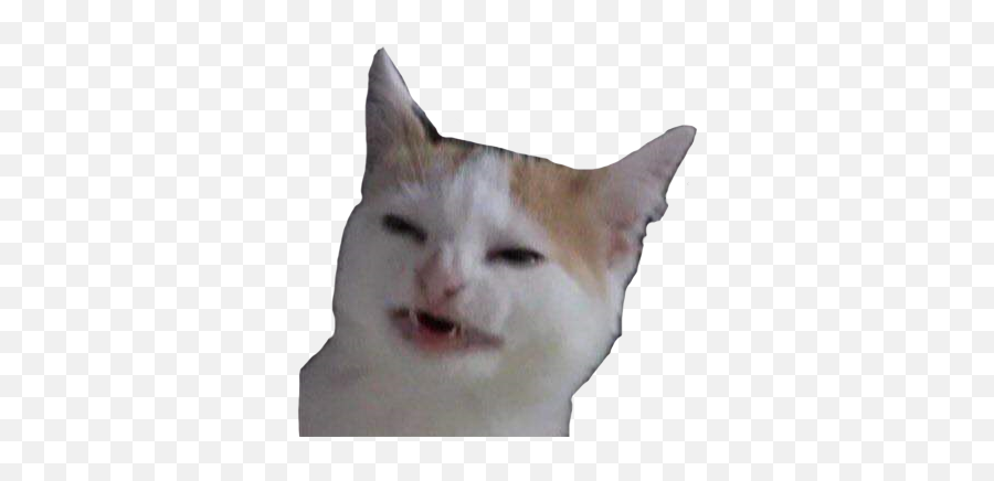 Cat Thonk - Cat No Like Banana Full Size Png Download Emoji,Cat Paw Emoji.