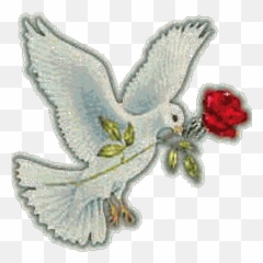 Shumstabrej Shumstabrej Twitter - Espiritu Santo Animado Gif Emoji,Dosh Emoticon