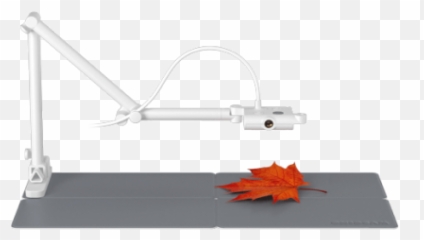 Okiocam - Maple Leaf Emoji,Unflip Emoji Letter