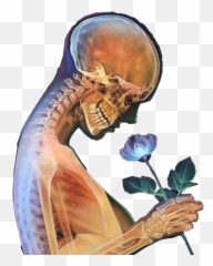 Skull Skeleton Dead Sticker By Sabrin - Morgan Davidson See Through Me Emoji,Dead Skull Emoji