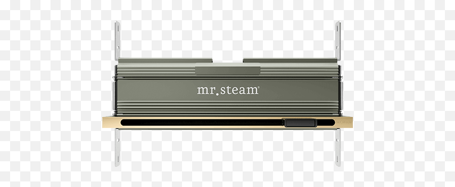 Linear Steamhead Steam Shower Mrsteam - Mrsteam Linear Steamhead Emoji,Solid Color Emoticons Steam