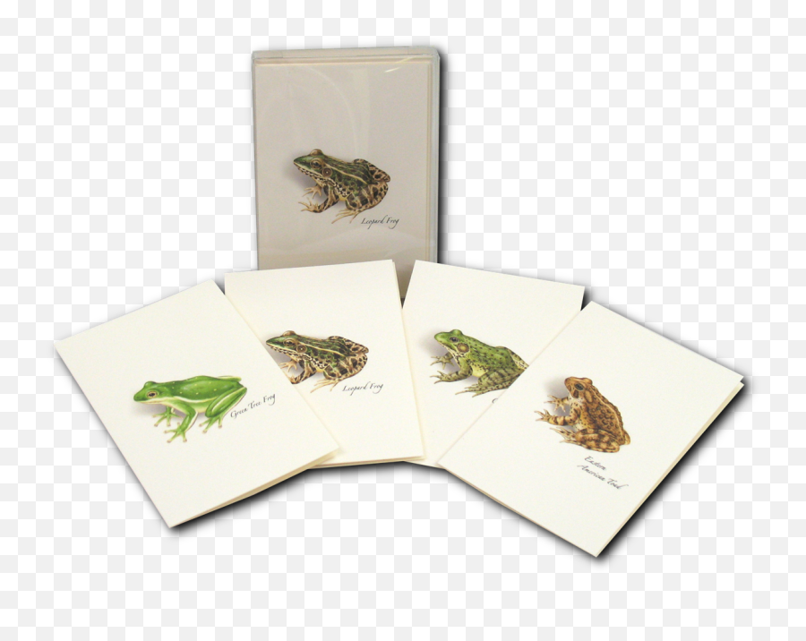 Frog Toad Assortment Boxed Notes Emoji,Spadefoot Toad Emotion
