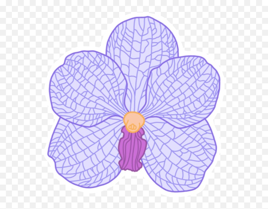 Flower Orchid Çiçek Sticker - Moth Orchid Emoji,Orchid Emoji