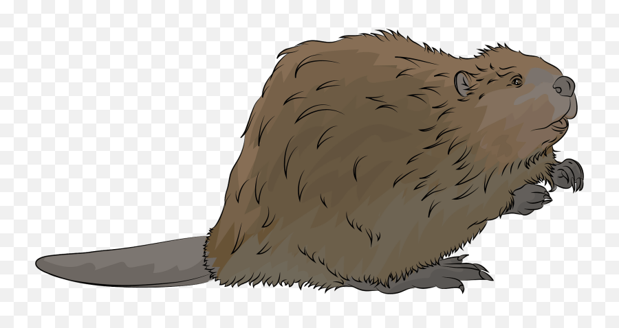 Beaver Clipart - Eurasian Beaver Emoji,Beaver Emoji
