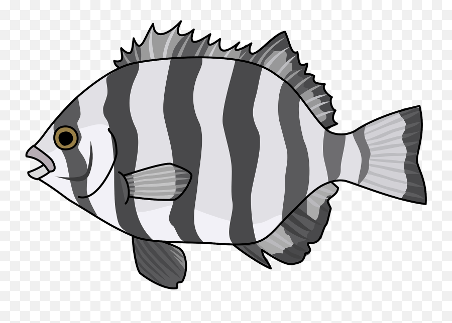 Striped Beakfish Fish Clipart Free Download Transparent - Striped Beakfish Fish Emoji,Sergeant Emoji