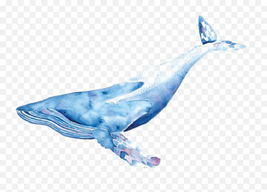 Freetoedit Sticker By Hanjo Rafael Blue Whale Watercolour - Mermaid Tail Watercolour Transparent Backgroud Emoji,Raindrop Sperm Emoji