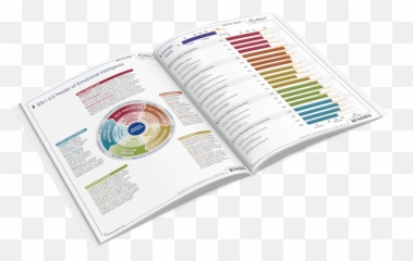 Emotional Intelligence U2013 Grisoni Coaching - Document Emoji,Emotional Intelligence Video Quiz Identify Emotions