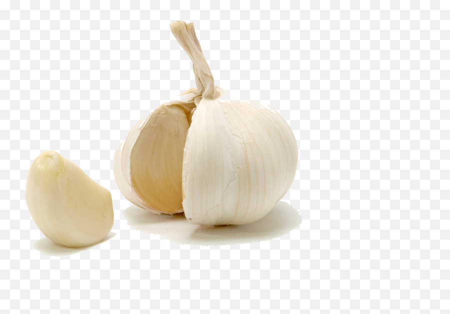 Oil Of Clove Garlic Food Ingredient - Garlic Png Download Clove Of Garlic Transparent Emoji,Garlic Emoji