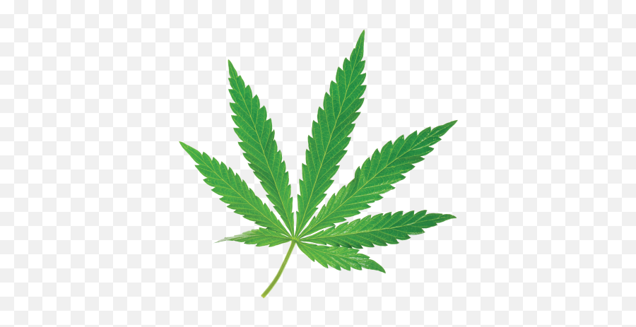 Danks Shop 420 - Legalize Emoji,Is There A Weed Leaf Emoticon