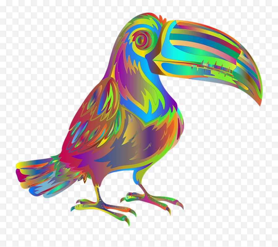 Free Photo Toucan Animal Abstract Bird - Psychedelic Tucan Emoji,Surreality Emotions