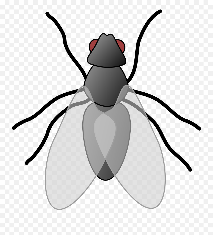 Clipart Panda - Free Clipart Images Insect Clipart Emoji,Drool Emoji Lg