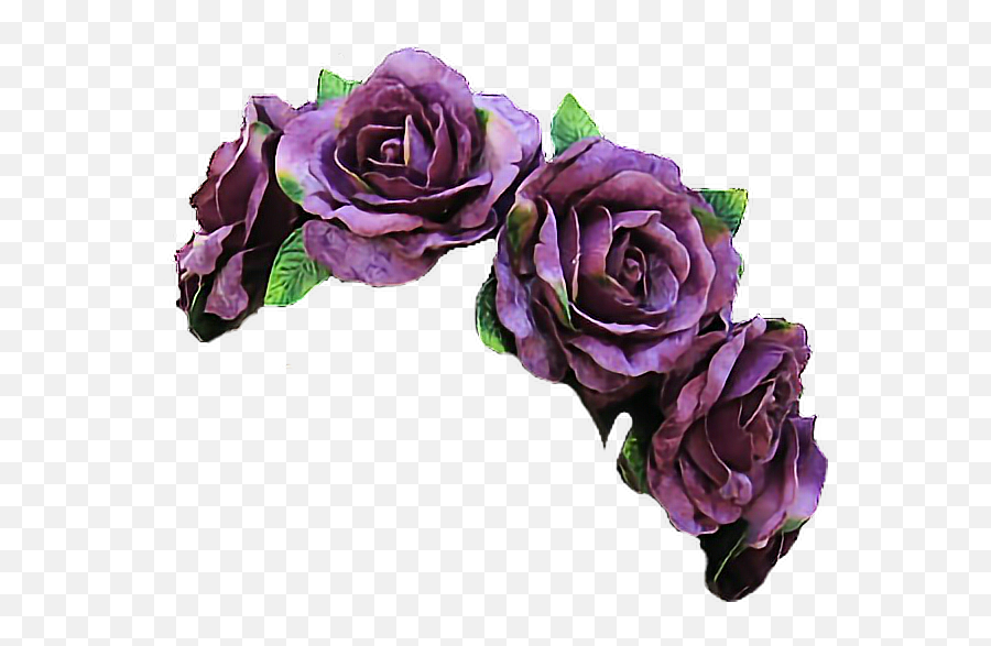 Purple Flower Crown Png Purple Flower - Purple Flower Crown Png Emoji,Violet Flower Emoji