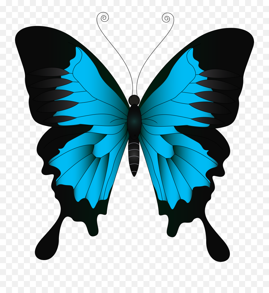 Blue Butterfly Png Clip Art Image Emoji,2 Blue Butterfly Emojis