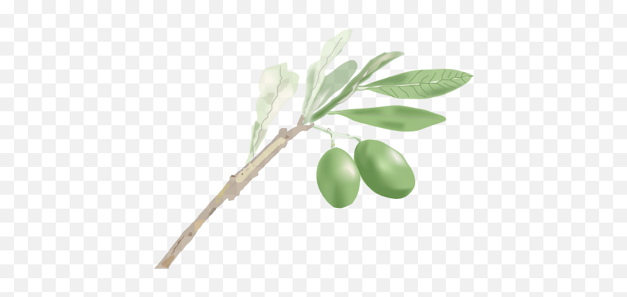 Olive Branch - Joy Hope Gratitude U2013 Emotions That Would Emoji,Emotions Of Hope