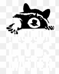 Raccoon Because Raccoon Lives Matter Trashpanda Iphone 12 Emoji,Raccoon Showing Emotions