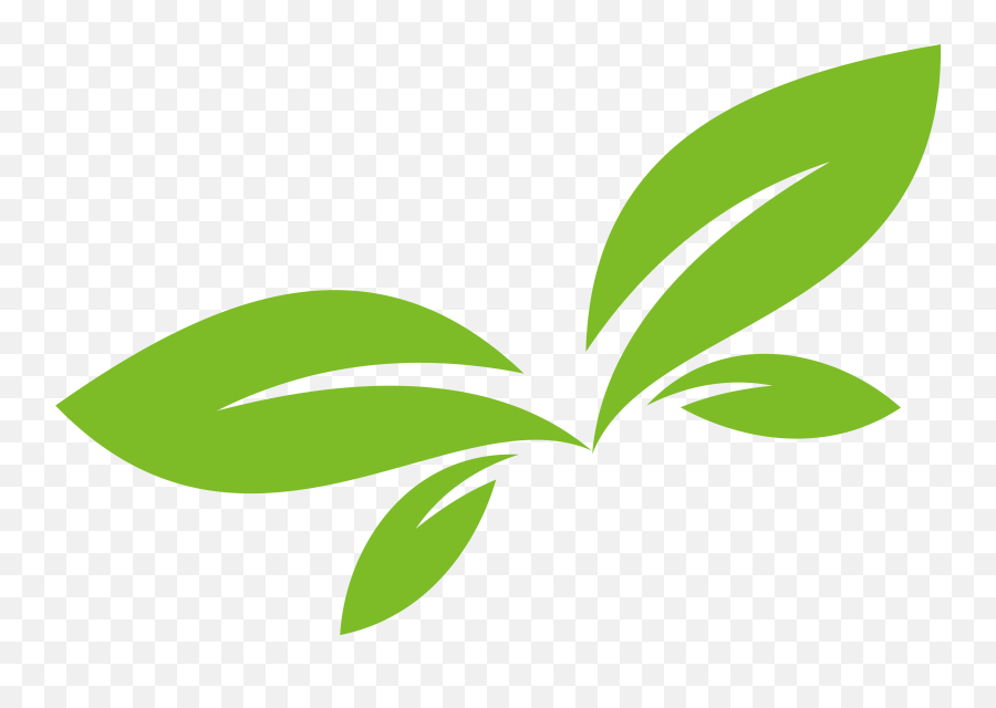 Leaf Green Euclidean Vector Design Logo - Leaf Vector Png Transparent Emoji,Green Leaf Emoticon