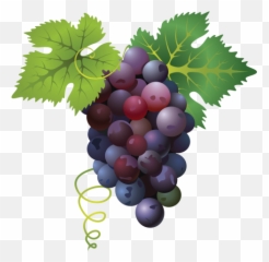 Grapes - Grapes Png Emoji,Grape Emoji
