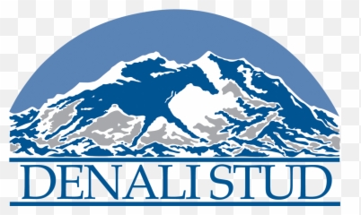 Consignments - Denali Stud Denali Stud Emoji,Crazy Diamond Jojo Emotion