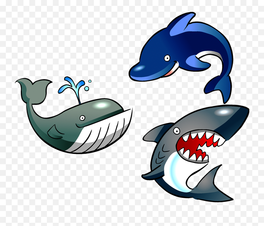 Quiz 6 Baamboozle - Clip Art Marine Biology Emoji,Type Dolphin Emoji On Fb