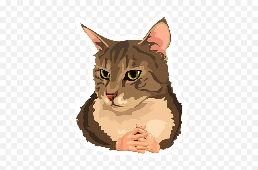 Cat With Hands Meme Sticker - Sticker Mania Meme Cat Sticker Emoji,Cat Emoticons Free Download Pack