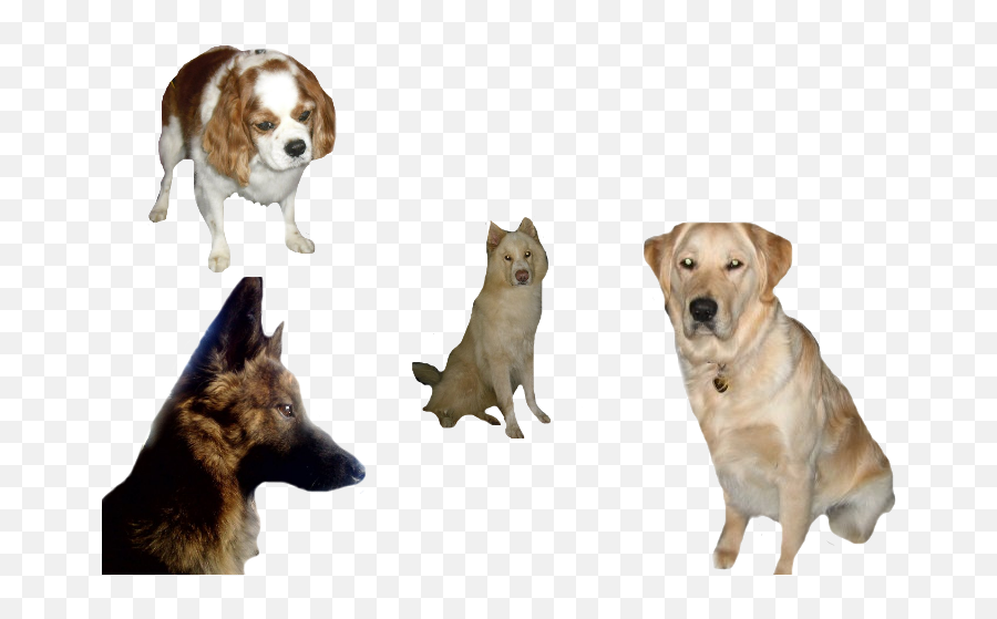 Psd Dogs - Northern Breed Group Emoji,Pet Emoji Psd