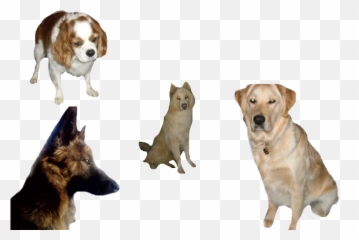 Psd Dogs - Northern Breed Group Emoji,Pet Emoji Psd