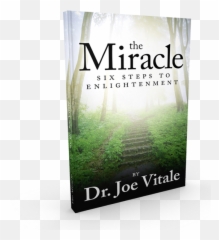 Enlightenment - Miracle Dr Joe Vitale Book Emoji,Joe Vitle How To Regain Emotions
