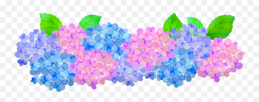 Free Photo Floral Pink And Purple Hydrangeas Hydrangeas Clip Emoji,Preoccupied Emotions Clip Art