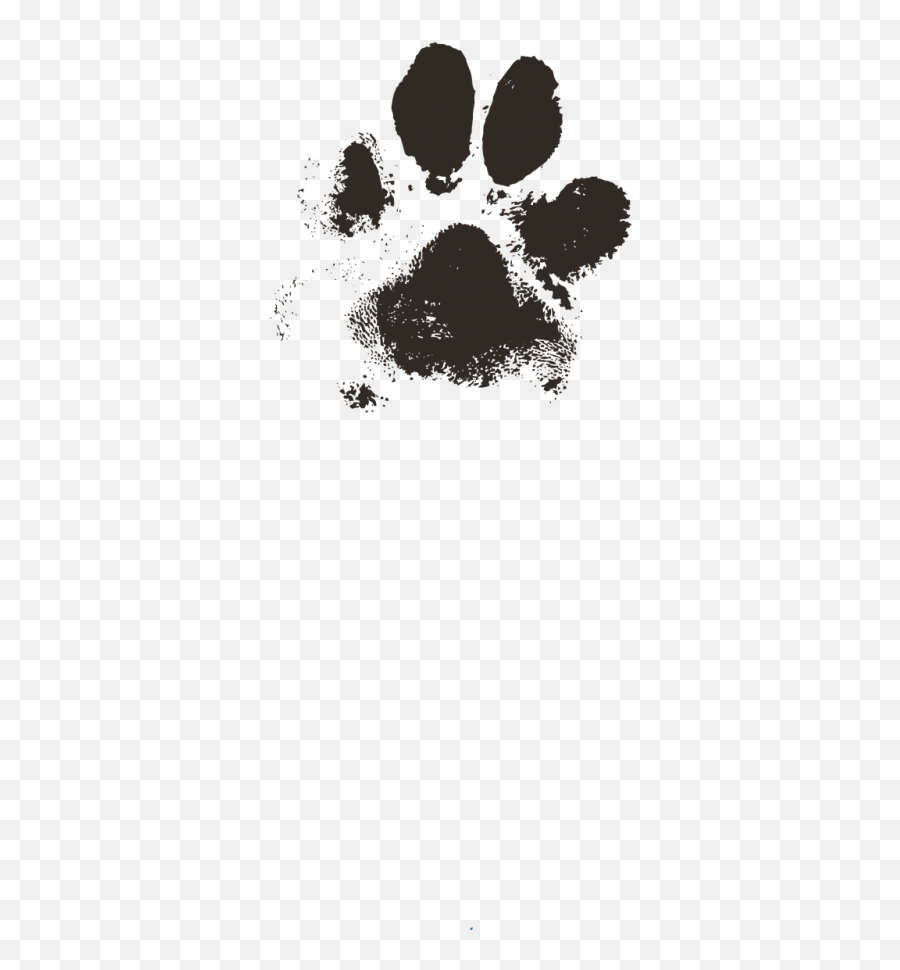 Free Photos Mud And Dog Paw Print Search Download - Needpixcom Dog Paw Print Emoji,Brown Pawprints Emoticon