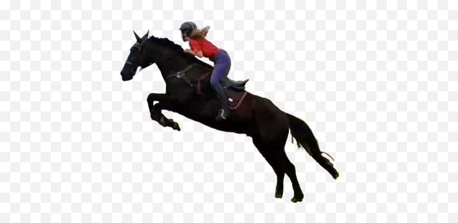 Popular And Trending Showjumping Stickers On Picsart Emoji,Salto Emoji