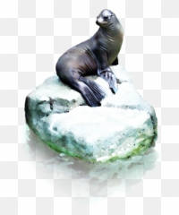 Seal Sitting Sticker By - California Sea Lion Emoji,Sea Lion Emoji