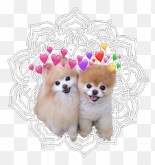 Jiff Pom Sticker - Dog Supply Emoji,Jiff Emoji