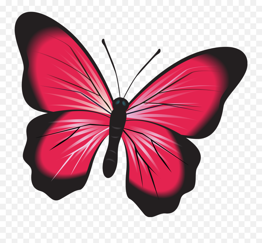 Pink Butterfly Clipart Free Download Transparent Png - Pink Butterfly Clipart Emoji,Butterfly Emoji Png