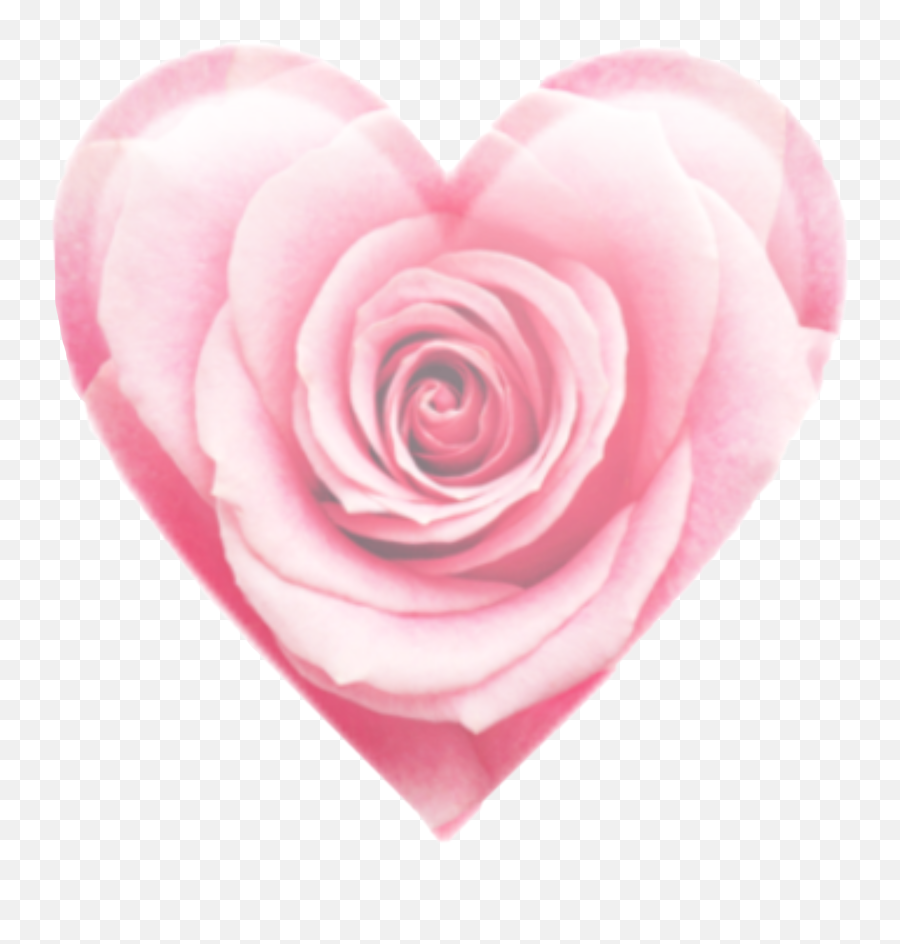 Emoji Heart Rose Pink Emojiheart - Rose,Pink Rose Emoji
