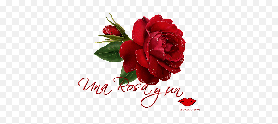 Julho 2010 - Red Rose Painted Png Emoji,Emoticon Mao Rezand