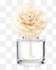 Oodles Of Orange Fragrance Buddy Clip - Scentsy Flower Diffuser Emoji,Rage Flower Emoji