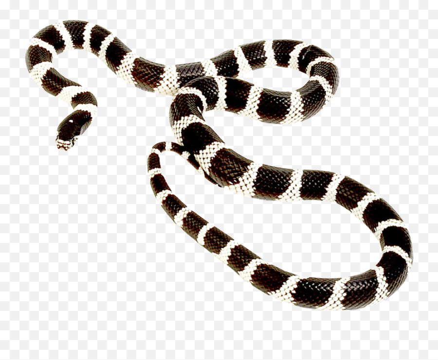 Snake Transparent Png Png Mart Emoji,Snake Emoji