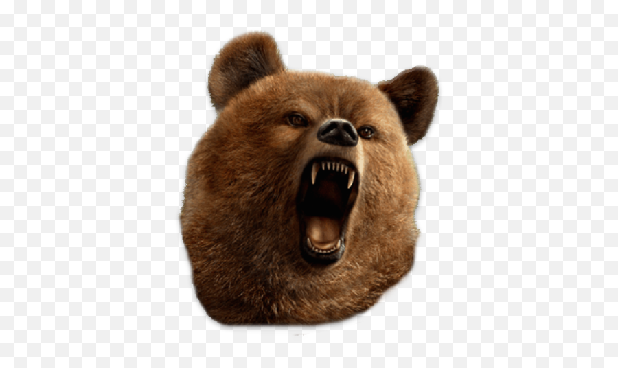 Animal Faces In Your Pictures U2013 Apps On Google Play Emoji,Grizzly Bear Emojis