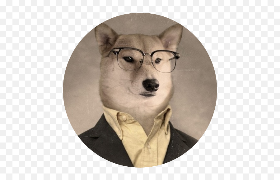 Doge Bot Discord - Professor Doge Emoji,Doge Emoji