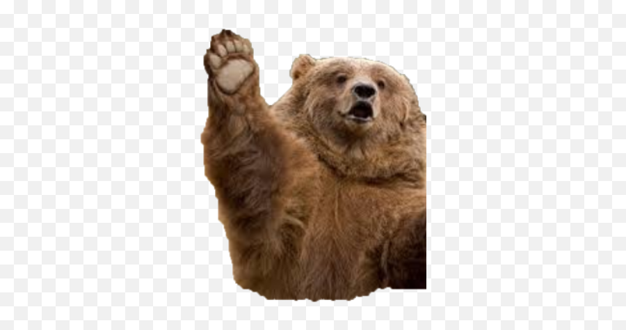 Bear Emojis - Discord Emoji Bear Arm,Black Bear Emoji