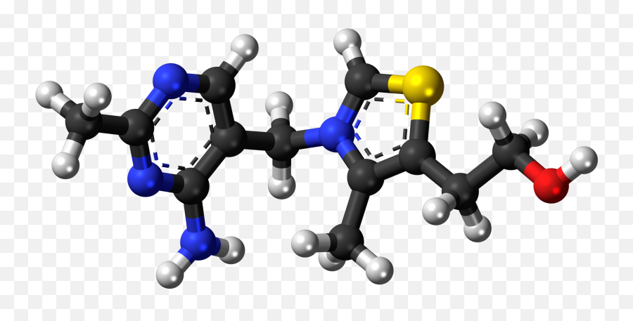 Wernickeu2013korsakoff Syndrome - Wikipedia Vitamin B1 Animation Emoji,Misattribution Of Emotion Theory