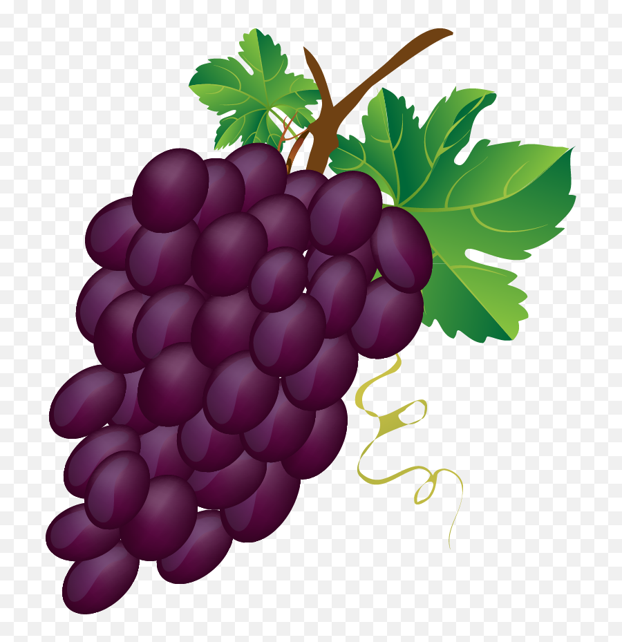 Purple Grape Clipart - Clip Art Library Grapes Clip Art Emoji,Discord Grapes Emoticon